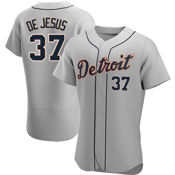 Gray Authentic Enmanuel De Jesus Men's Detroit Tigers Road Jersey